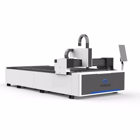 Raycus Enclosed 1kw 1.5kw 2kw 3kw Aluminum Stainless Carbon Steel Iron 1000W 1500W 2000W 3000W CNC Fiber Laser Cutting Metal Sheet Cutter Machine